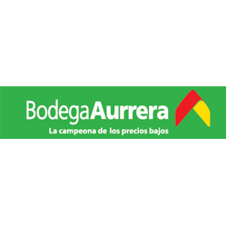 Empresa que se dedica al diseño, promoción, construcción, promoción y comercialización de desarrollos habitacionales de tipo: <br> progresiva, interés social, medio y residencial.